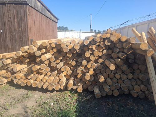 Фото пресс-службы Алтайской таможни